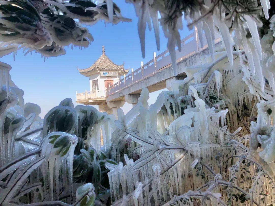 快刺水果